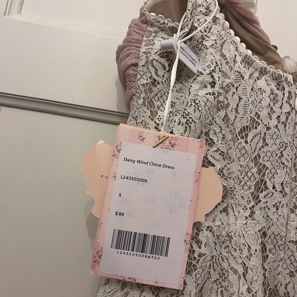 Delicate Flower-Embellished Lace Corset Dress in Blush - Picture 7 of 7